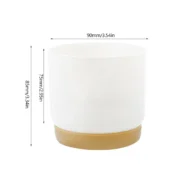 Succulent Plant Pot Double-layer Succulent Green Dill Round Double Layer Small Green Plant - Image 2