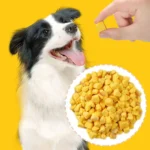 Freeze-dried Egg Yolks Cat Dog Snack 100g/200gsupplement