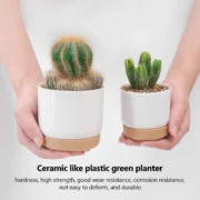 Succulent Plant Pot Double-layer Succulent Green Dill Round Double Layer Small Green Plant - Image 4