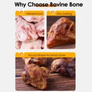Pet Snacks Beef Kneecaps Additive-Free Dry Dog Chew Bones - Image 2