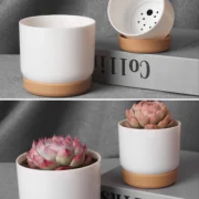 Succulent Plant Pot Double-layer Succulent Green Dill Round Double Layer Small Green Plant - Image 5