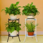 Hanging Glass Tube Vases For Wedding Round Stand Desktop Planter Flower