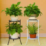 Hanging Glass Tube Vases For Wedding Round Stand Desktop Planter Flower